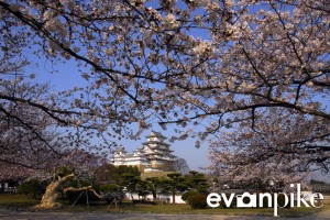 Himeji-05-japanphotoguide