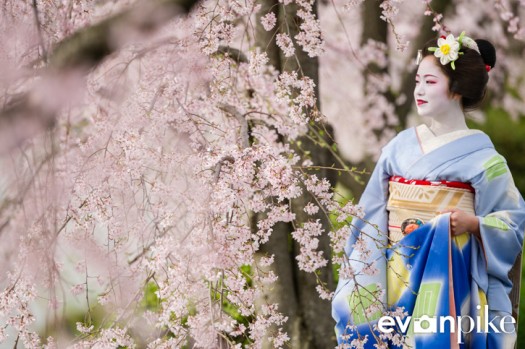 Maiko Portrait Session-13-japanphotoguide