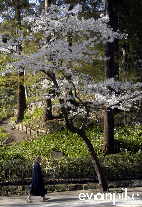 Tokyo-51-japanphotoguide