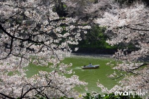 Tokyo-55-japanphotoguide