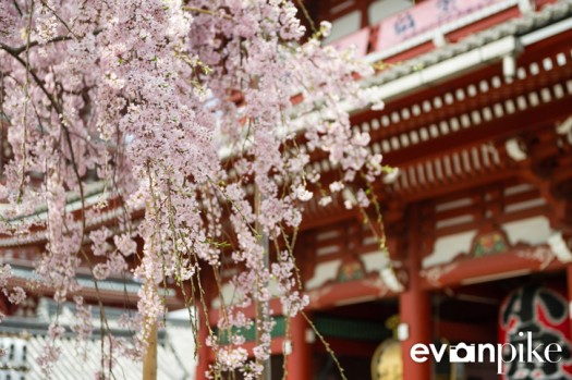 Tokyo and Kyoto-15-japanphotoguide