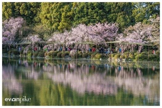kyoto japan photo guide
