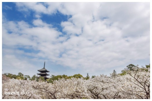 kyoto japan photo guide