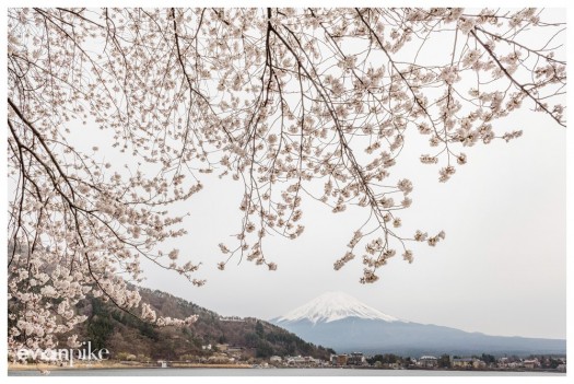 fujigoko mt fuji japan photo guide
