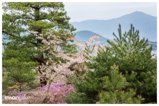 arashiyama kyoto kameyama park