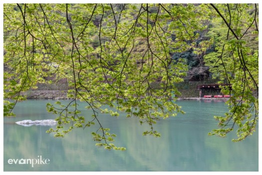 arashiyama kyoto kameyama park