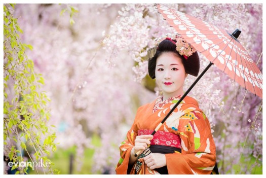 portrait with maiko japan photo guide