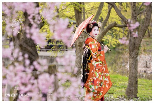 portrait with maiko japan photo guide