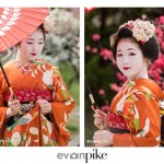 portrait with maiko japan photo guide