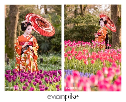 portrait with maiko japan photo guide
