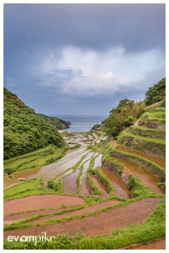 Hamanoura-Rice-Terrace-JapanPhotoGuide-01