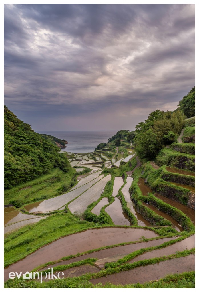 Hamanoura-Rice-Terrace-JapanPhotoGuide-04