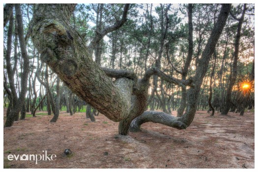 Nijino-Matsubara-JapanPhotoGuide-08