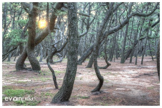 Nijino-Matsubara-JapanPhotoGuide-09