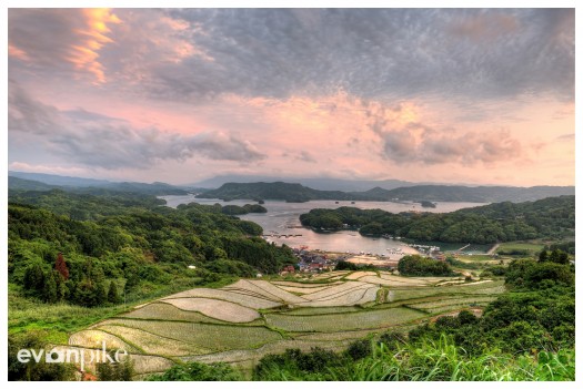 Oura-Rice-Terrace-JapanPhotoGuide-01