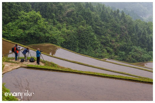 Warabino-Rice-Terrace-JapanPhotoGuide-07