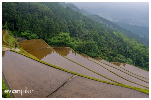Warabino-Rice-Terrace-JapanPhotoGuide-08