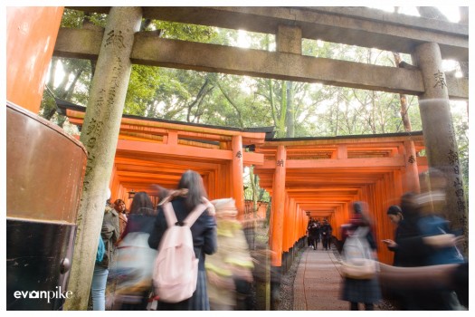 Japan Photo Guide Fushimi Inari 001