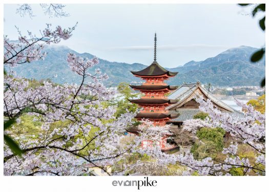 Japan Photo Guide Miyajima 024
