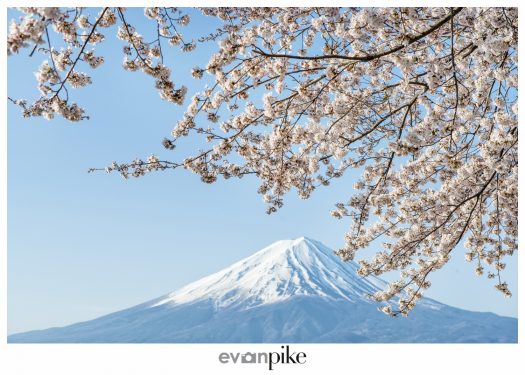 Kawaguchiko Mt Fuji Japan Photo Guide130