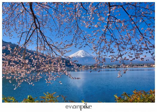 Kawaguchiko Mt Fuji Japan Photo Guide133