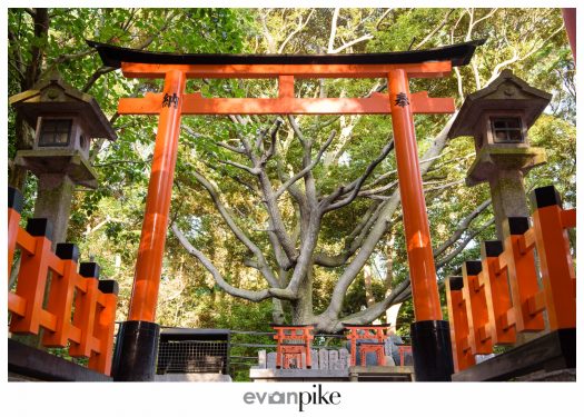 Japan Photo Guide Kyoto 146