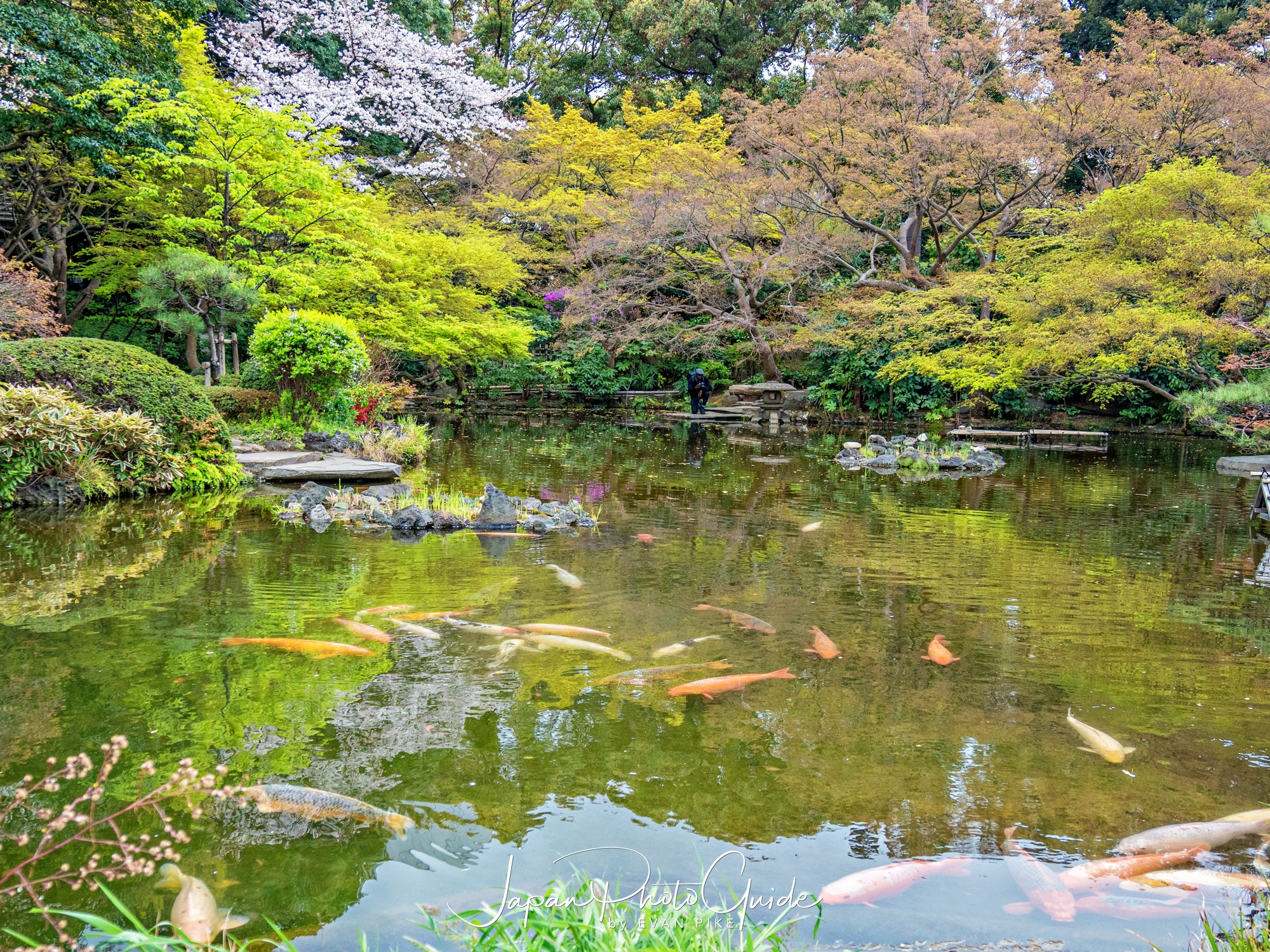 Tokyo