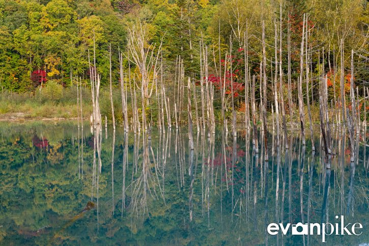 Photo Tour of Japan  |  Blue Pond