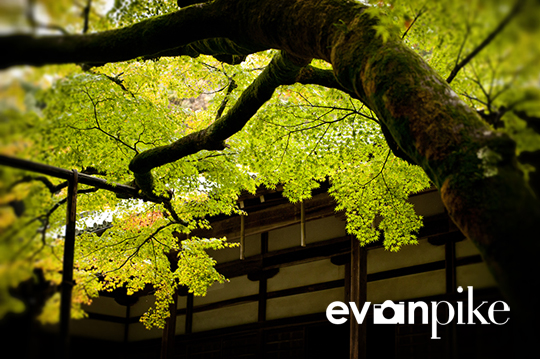 13 Day Photo Tour of Japan  |  Few of My Favorite Photos of Japan
