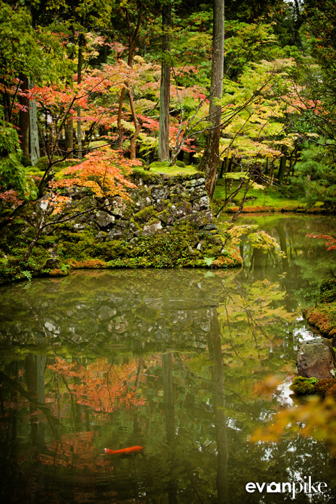 Photo Tour of Japan  |  Kokedera, The Moss Garden Temple in Kyoto
