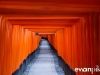 Photo Tour of Japan  |  Fushimi Inari Shrine