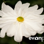 japan-photo-guide-302