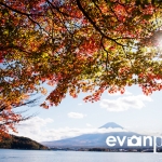 japan-photo-guide-311