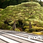 japan-photo-guide-319
