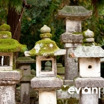 japan-photo-guide-334