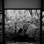 japan-photo-guide-348