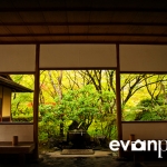 japan-photo-guide-349