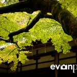 japan-photo-guide-357