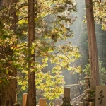 japan-photo-guide-386