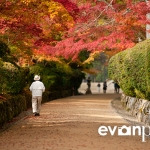 japan-photo-guide-391