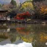 Japan Photo Guide Fall-003