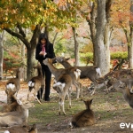 Japan Photo Guide Fall-004