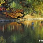 Japan Photo Guide Fall-009