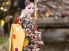 Maiko Portrait Session-21-japanphotoguide