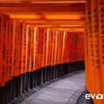 Fushimi-Inari-Shrine-004