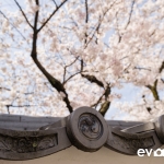 Kyoto-42-japanphotoguide
