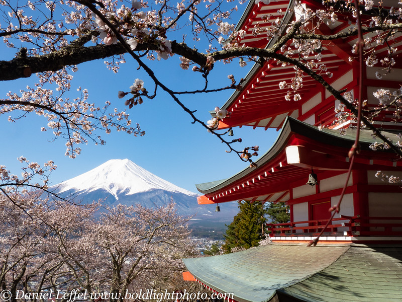 Fuji Five lakes | Japan Photo Guide