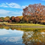 IMG_2914-e