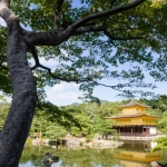 golden-pavilion-003