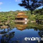 golden-pavilion-006